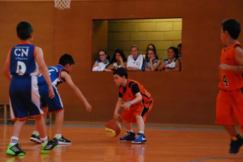 Club Bàsquet Bellpuig 16-17_04_22 Pre-mini masculí negre